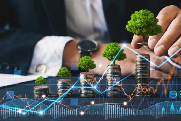 大明电子今日网上路演：三十余载深耕汽车电子，剑指细分领域第一梯队