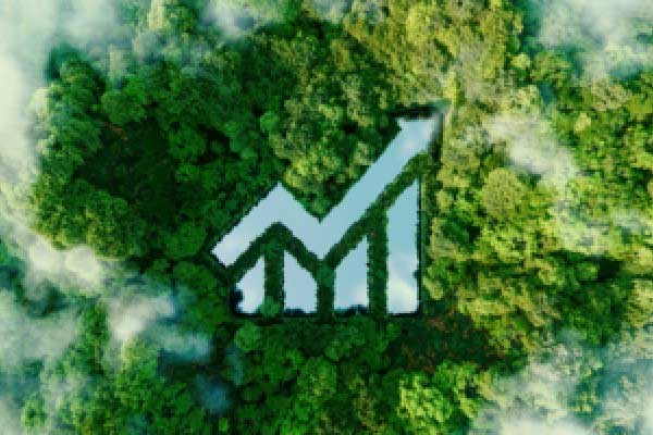 李迅雷谈促进服务消费：建议放松喝酒范围限制，提振酒业发展